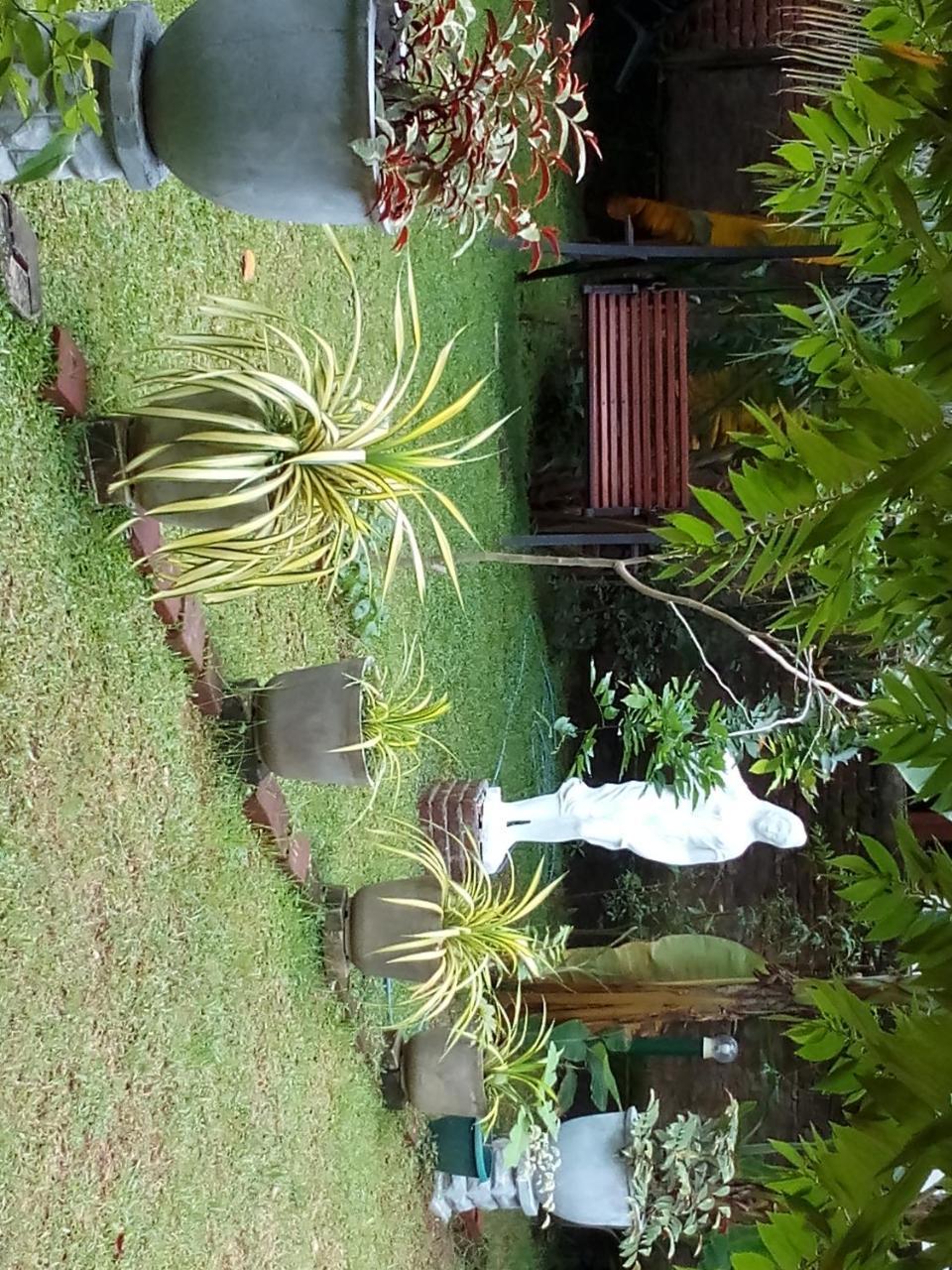 Waterway Garden Βίλα Polonnaruwa Εξωτερικό φωτογραφία