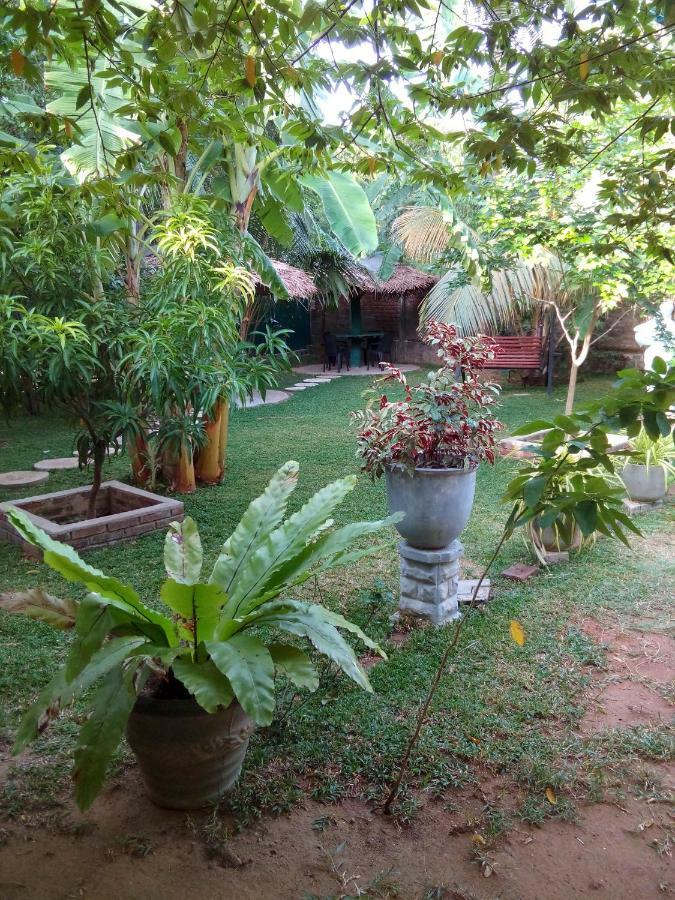 Waterway Garden Βίλα Polonnaruwa Εξωτερικό φωτογραφία